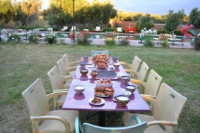 Гостиница Atlas Resorts  Aït Ourir